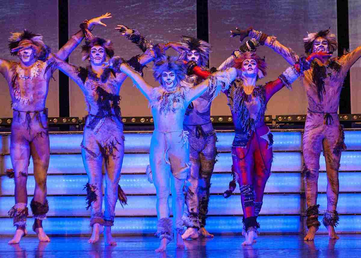 MUSICAL STARNIGHTS MUSICAL STARNIGHTS