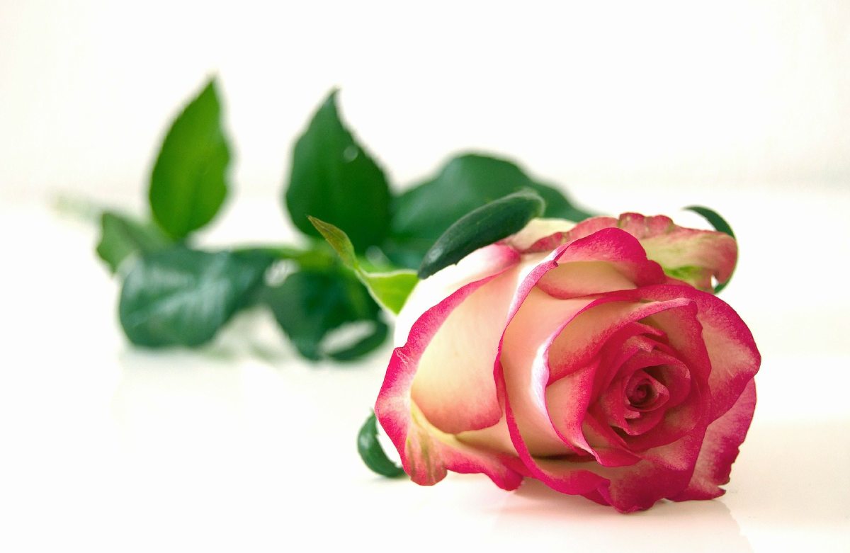 Kabarett zum Frauentag Kabarett zum Frauentag