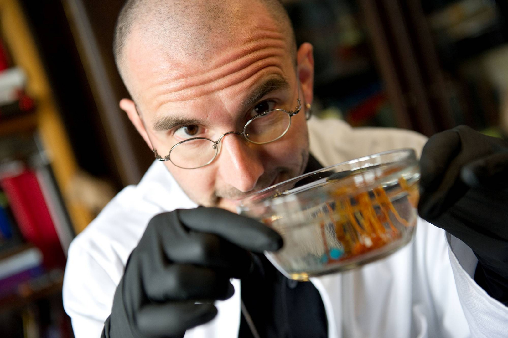 Dr. Mark Benecke Dr. Mark Benecke