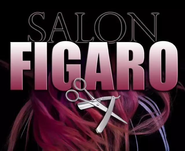 Salon Figaro
