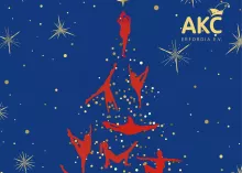 Tanzgala des AKC Erfordia e.V.